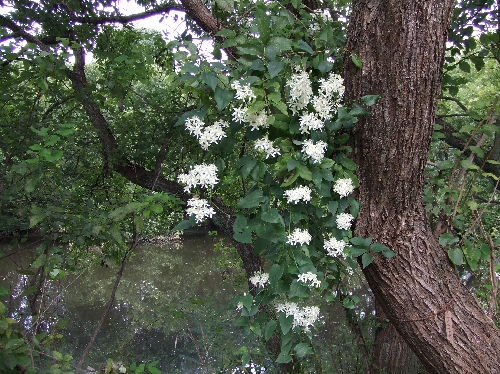 変換 ~ 915 030.jpg